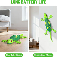 GECKOS TELECONTROL RC