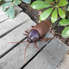 COCKROACH REMOTE CONTOLER